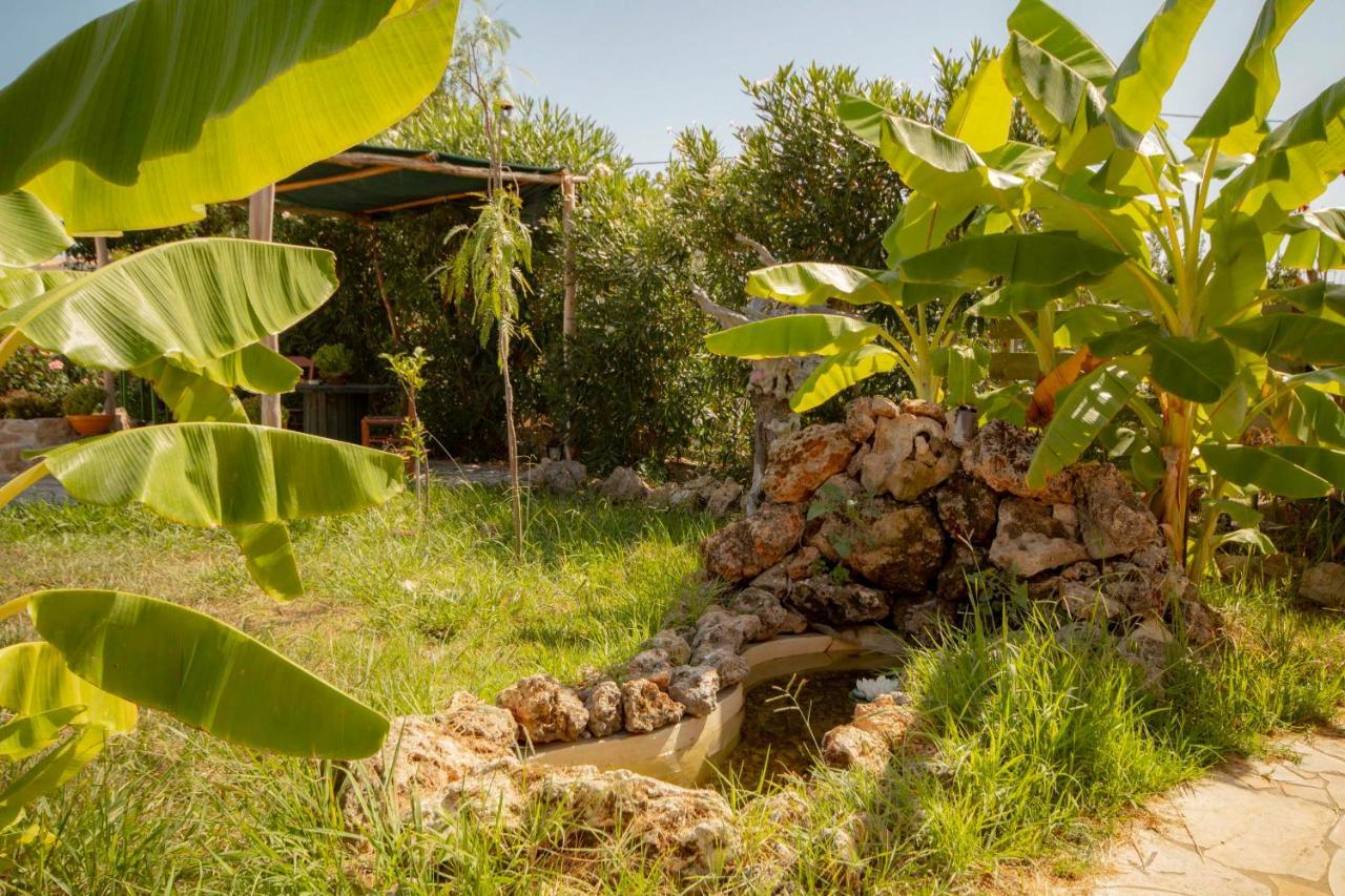 Harmony Corfu Apartments & Studios Corfu (city) Exterior foto
