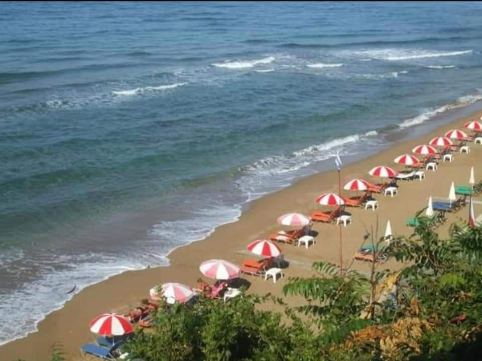 Harmony Corfu Apartments & Studios Corfu (city) Exterior foto