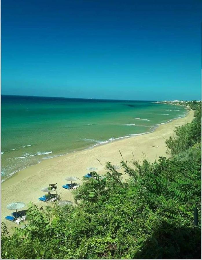 Harmony Corfu Apartments & Studios Corfu (city) Exterior foto