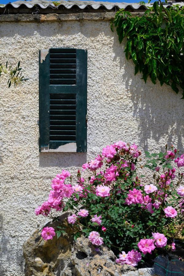 Harmony Corfu Apartments & Studios Corfu (city) Exterior foto