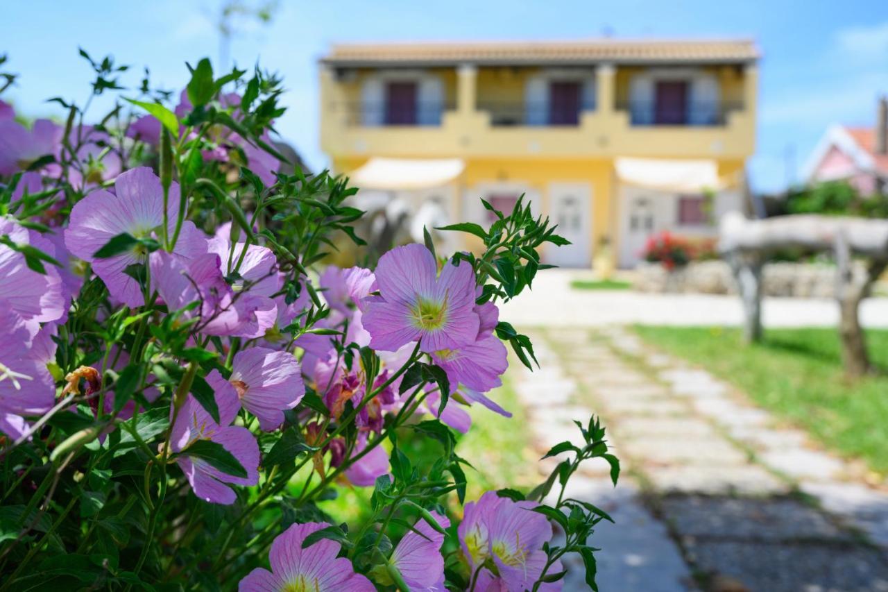 Harmony Corfu Apartments & Studios Corfu (city) Exterior foto